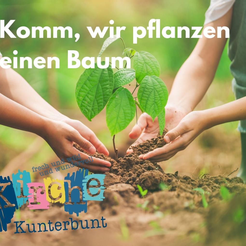 Komm, wir pflanzen einen Baum
