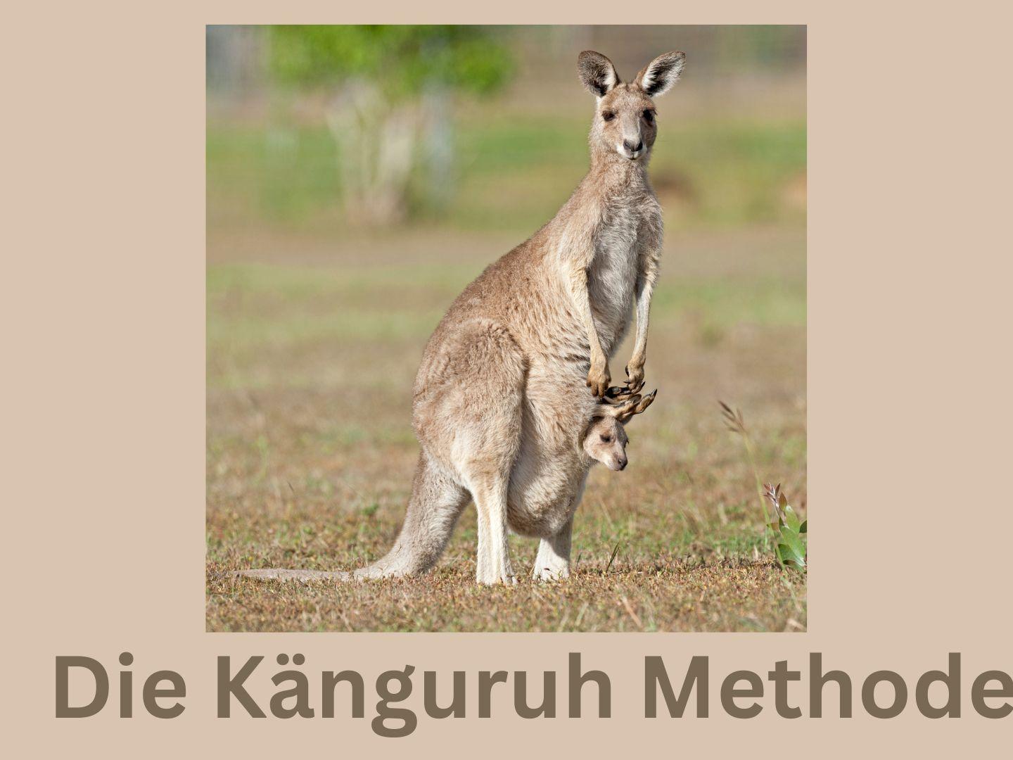 Die Känguruh Methode