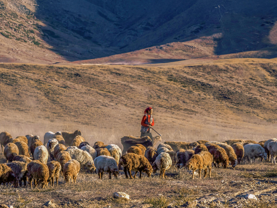 Fürchtet euch nicht