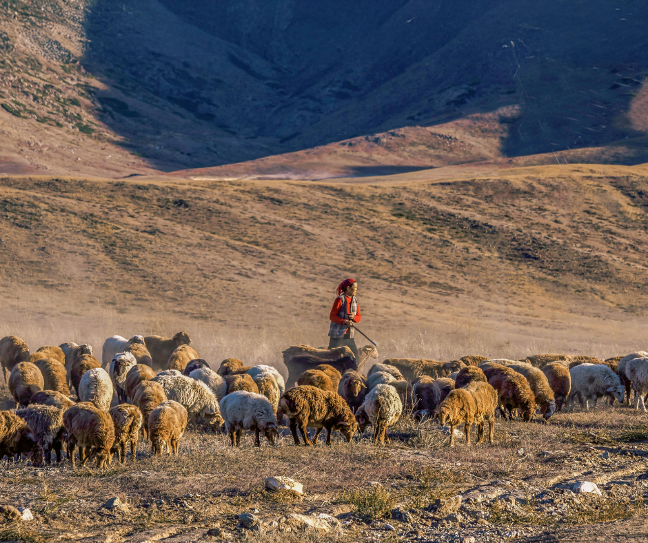Fürchtet euch nicht