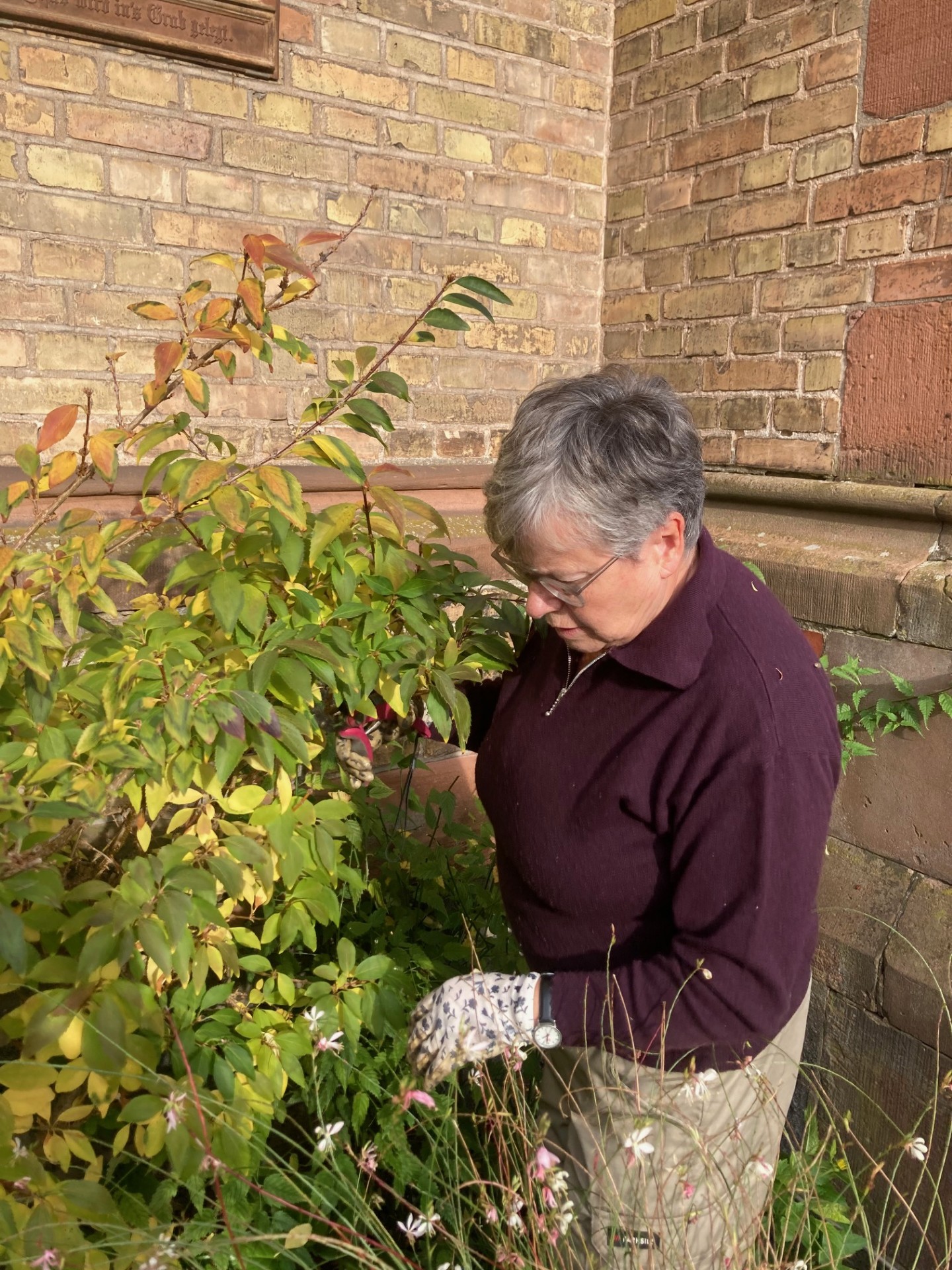 Ursula Haas bei Gartenarbeiten an der Apostelkirche