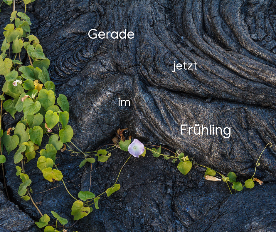 Gerade jetzt im Frühling