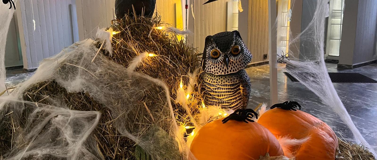 Halloween - den Heiligen zu Ehr! Dazu laden unsere Kindertagesstätten ein.