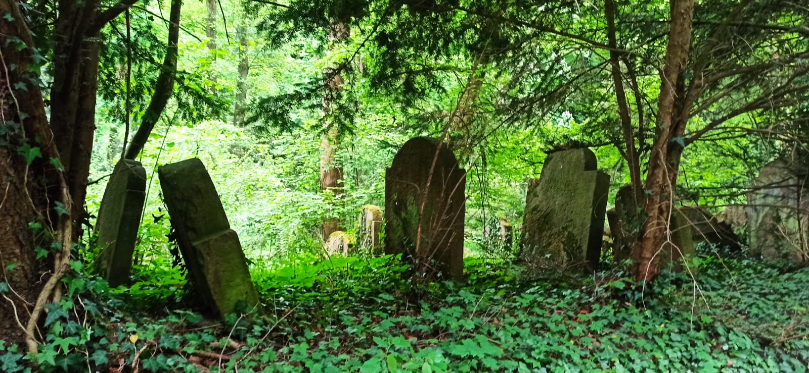 Jüdischer Friedhof