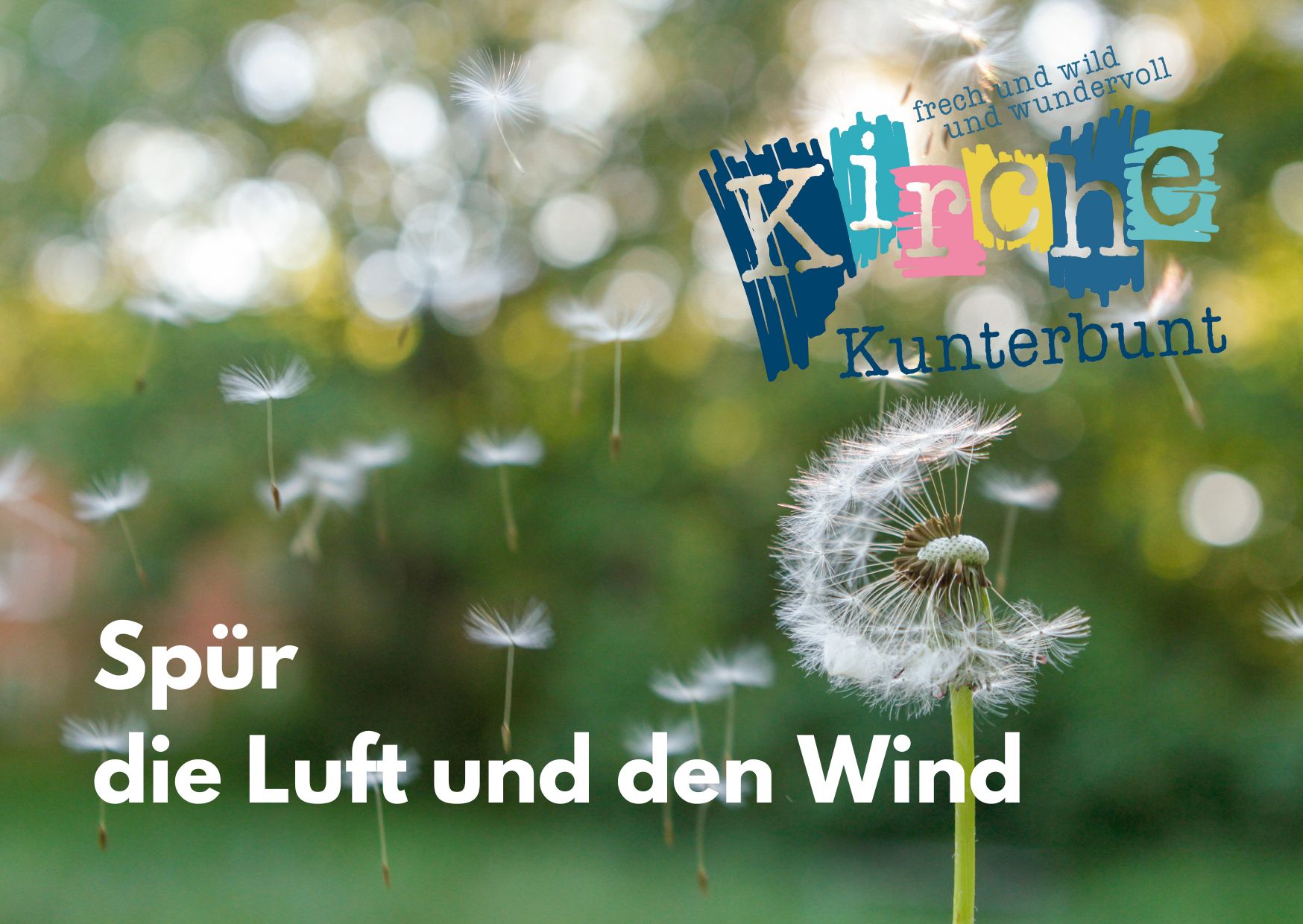 Die Samen einer Pusteblumen verwehen im Wind