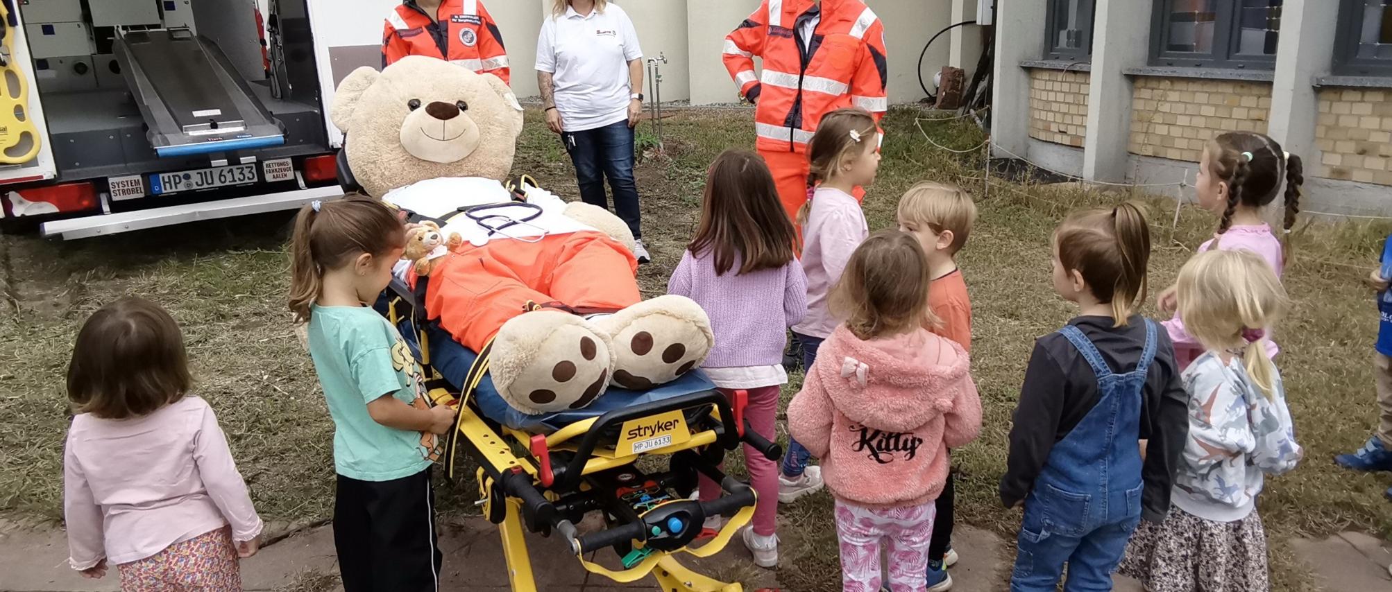 Der große Bär wird mit seinen Verletzungen in den Krankenwagen gebracht.