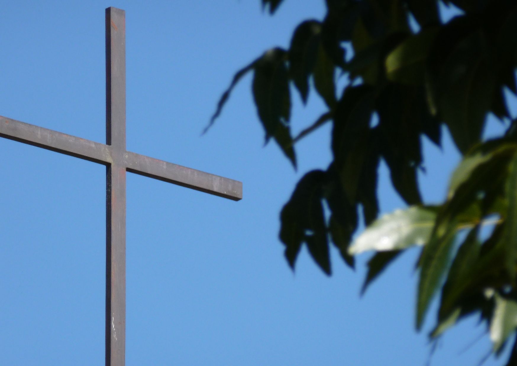 schlichtes Kreuz mit blauen Hinergrund. Rechts ragen Blätter an Ästen ins Bild