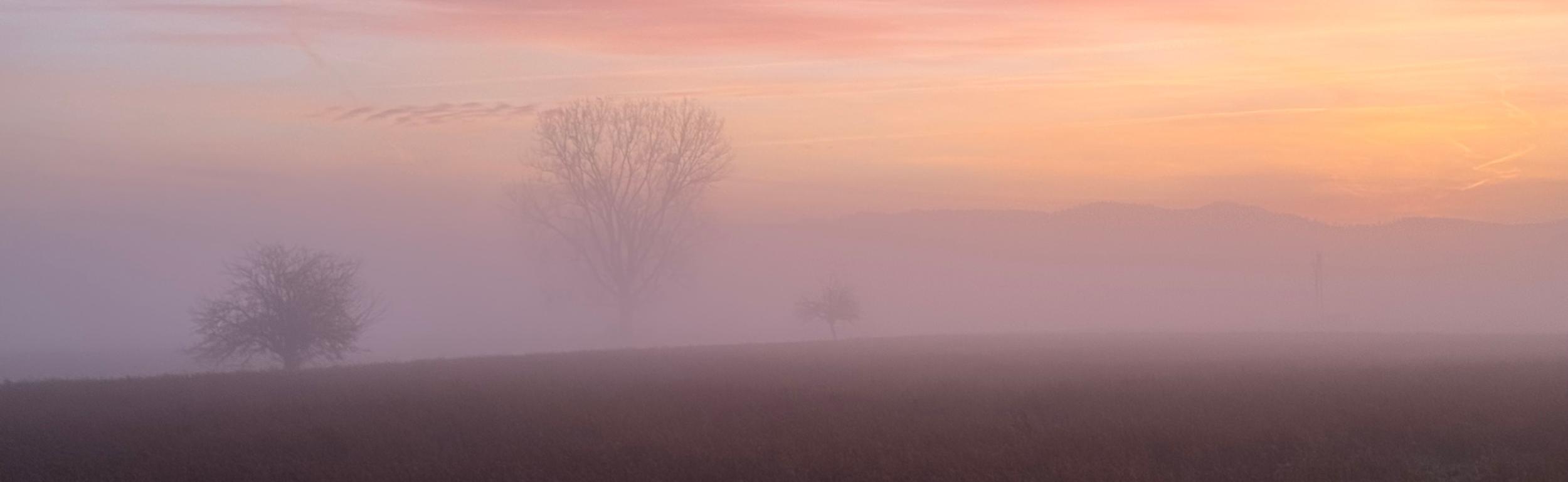 Winterlandschaft am Morgen mit Bäumen im Dunst