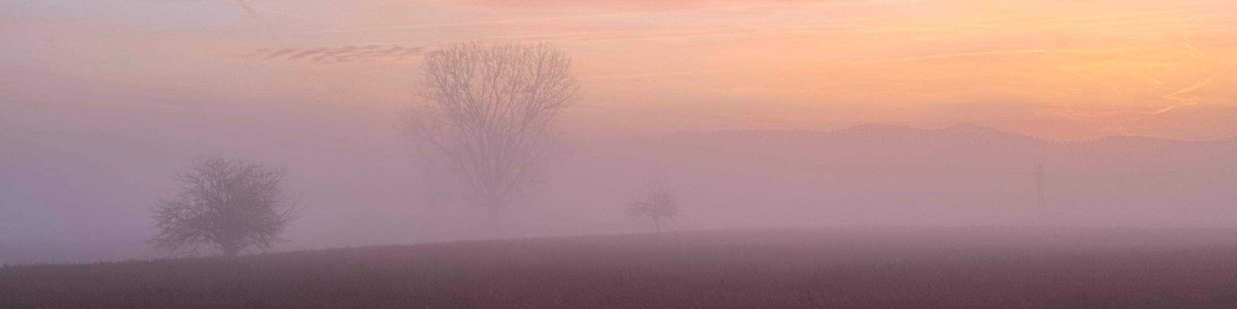 Winterlandschaft am Morgen mit Bäumen im Dunst