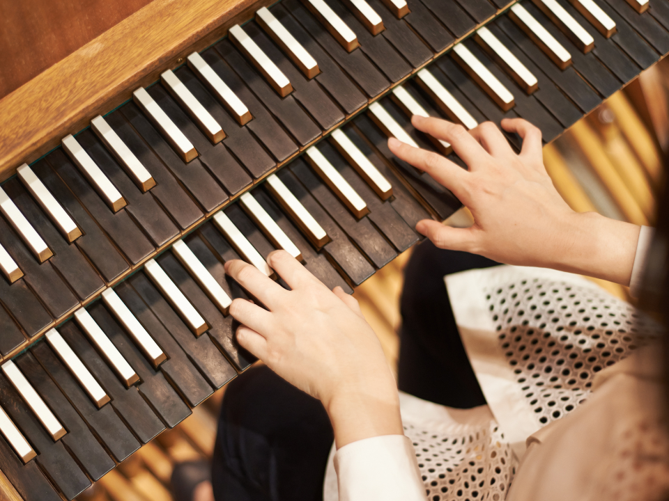 Orgel