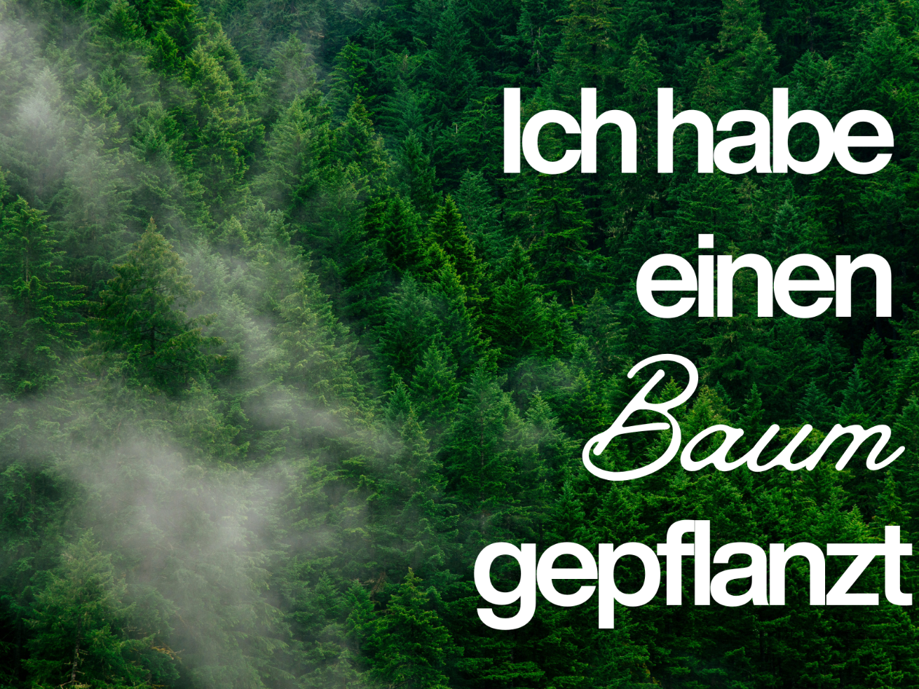 Postkarte 'Ich habe einen Baum gepflanzt'