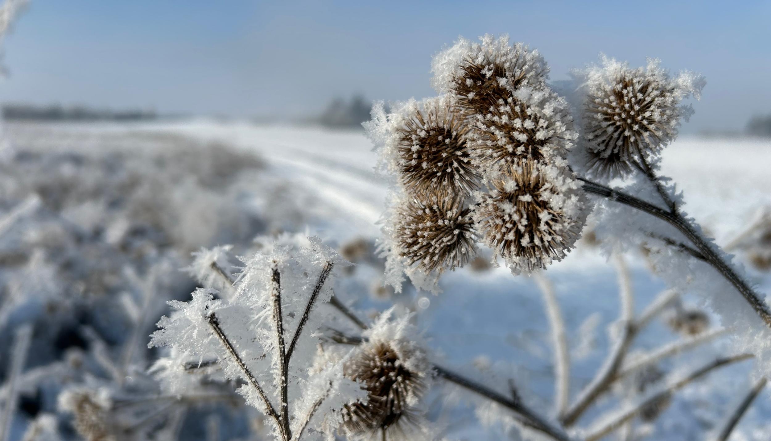 Adventszeit