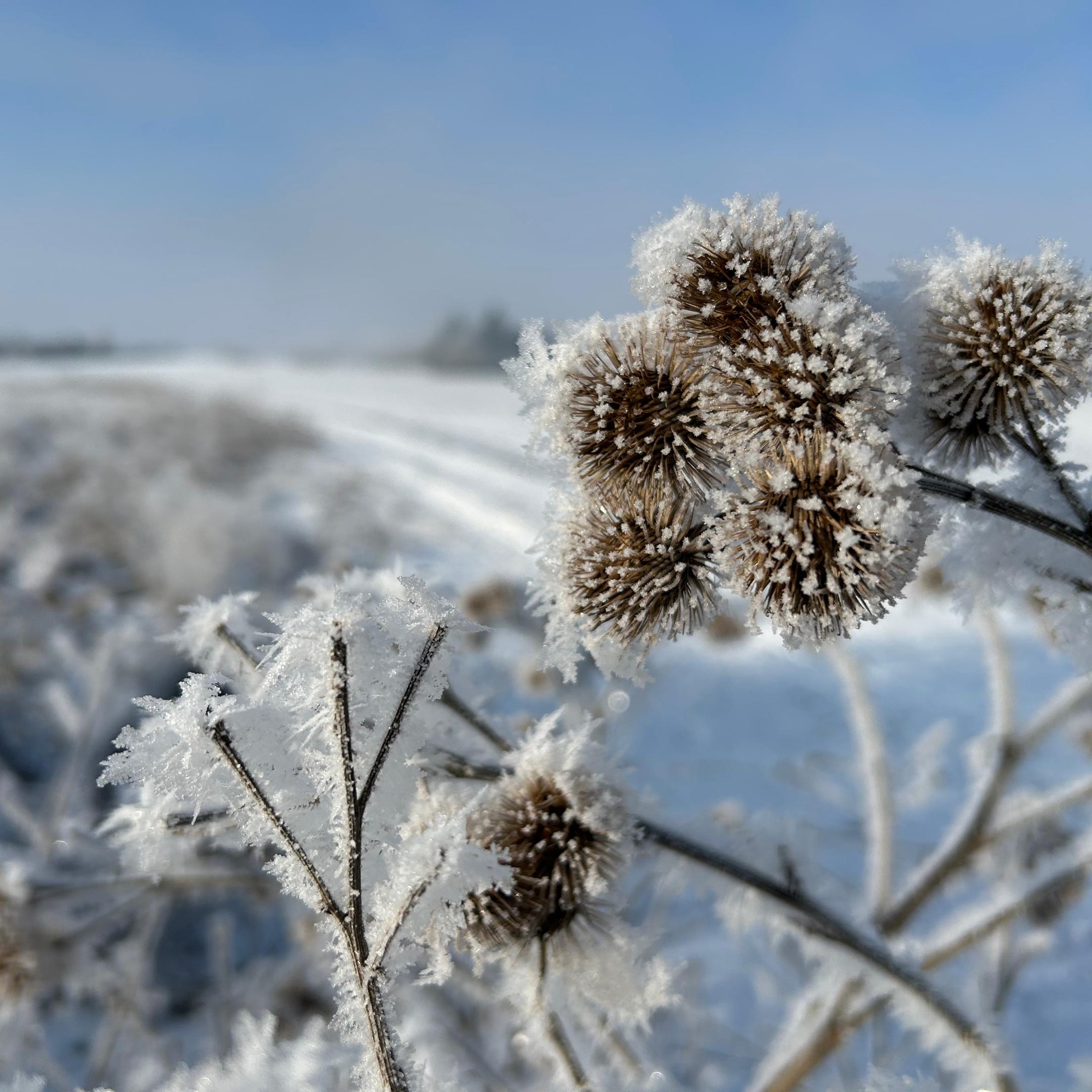 Adventszeit