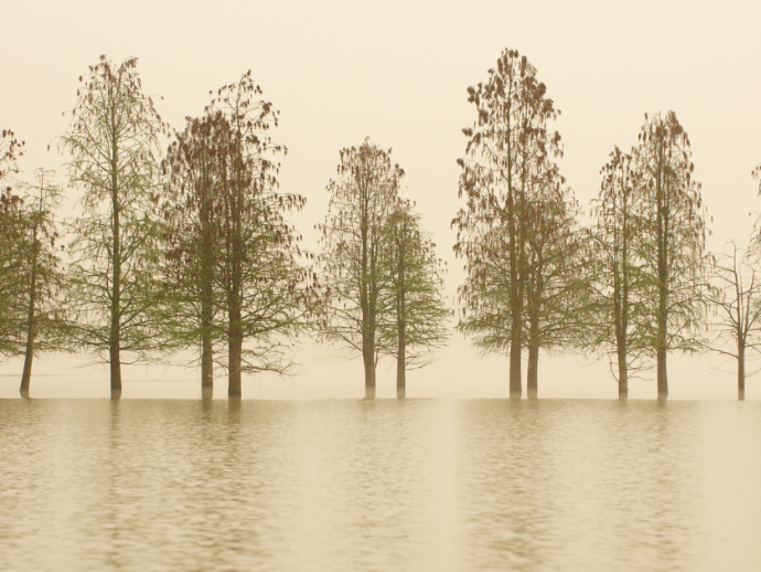 Stille