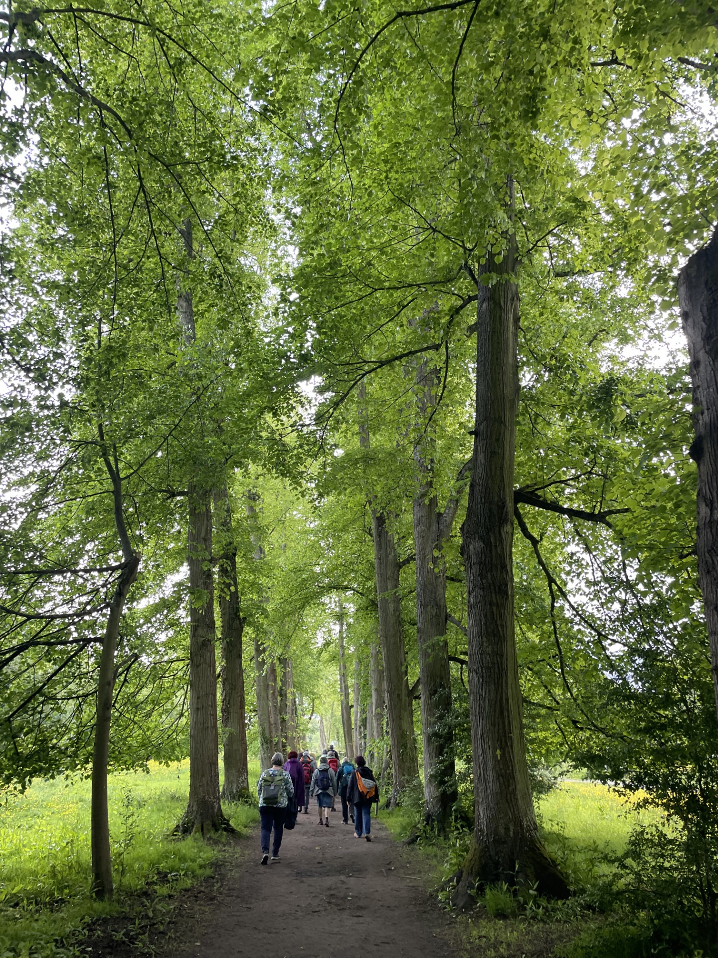 Pilgern entlang der Fußauen im Abendlicht