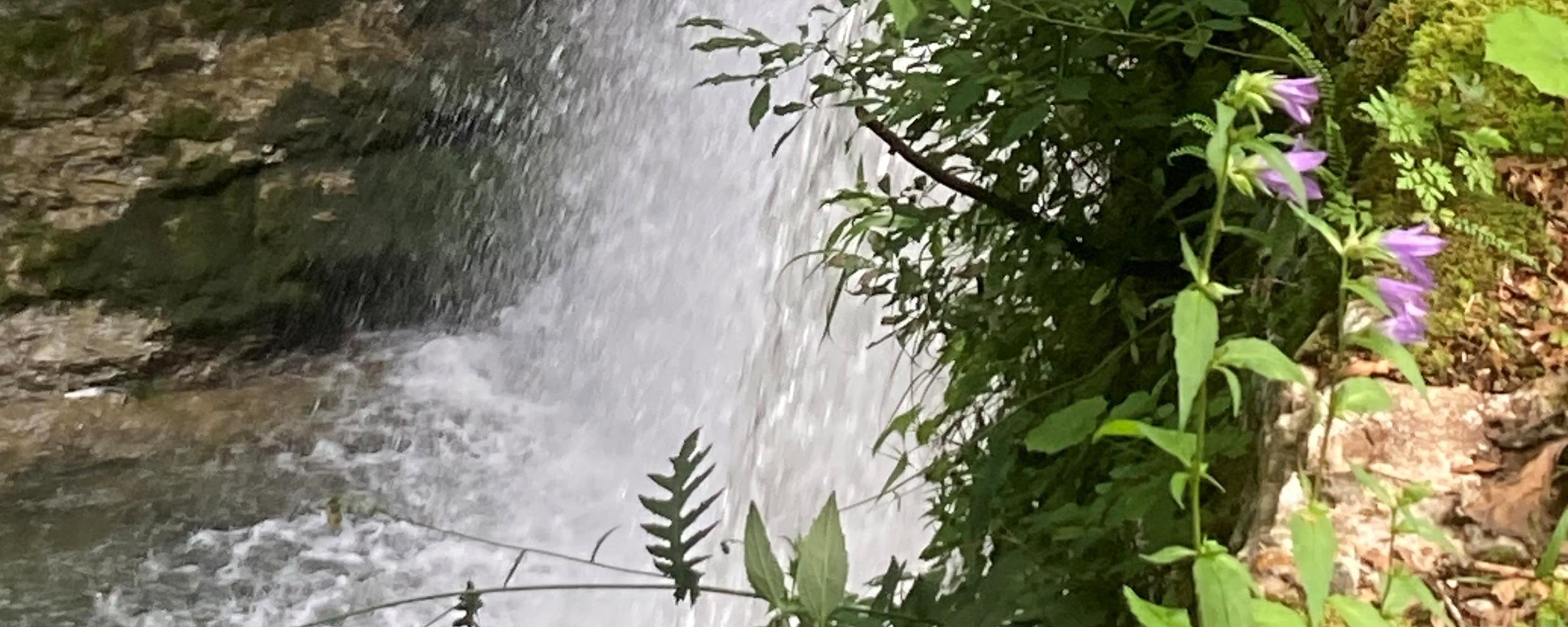 Schöne und gesegnete Sommerzeit