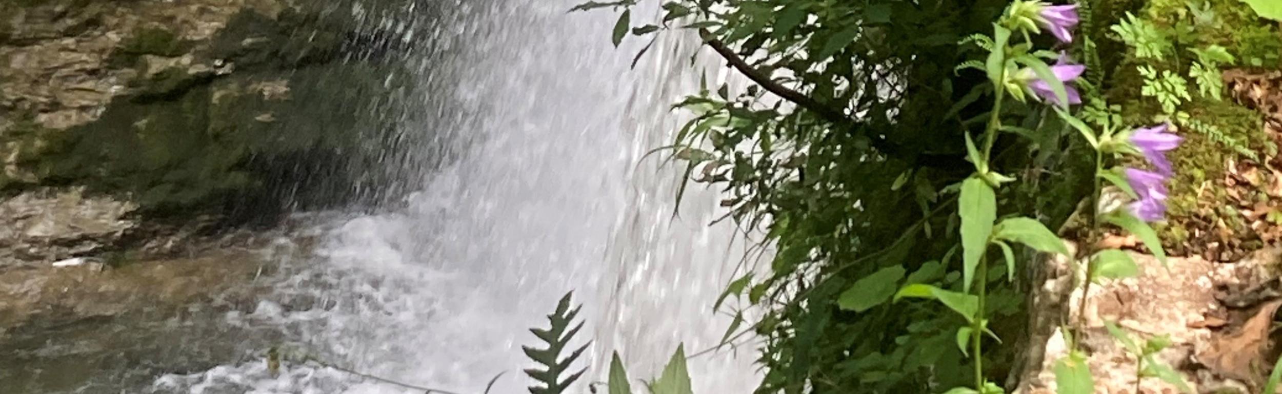 Schöne und gesegnete Sommerzeit