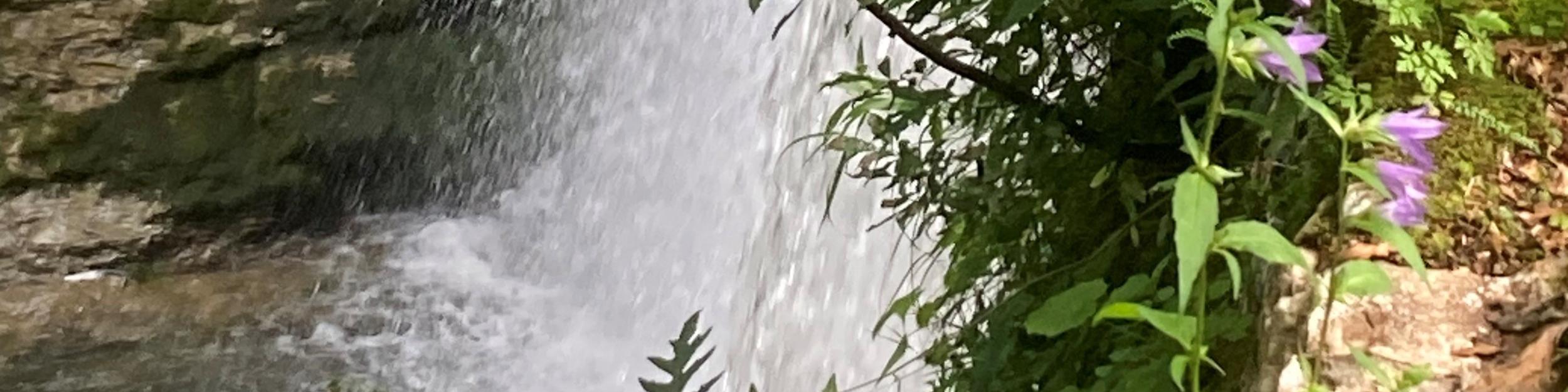 Schöne und gesegnete Sommerzeit