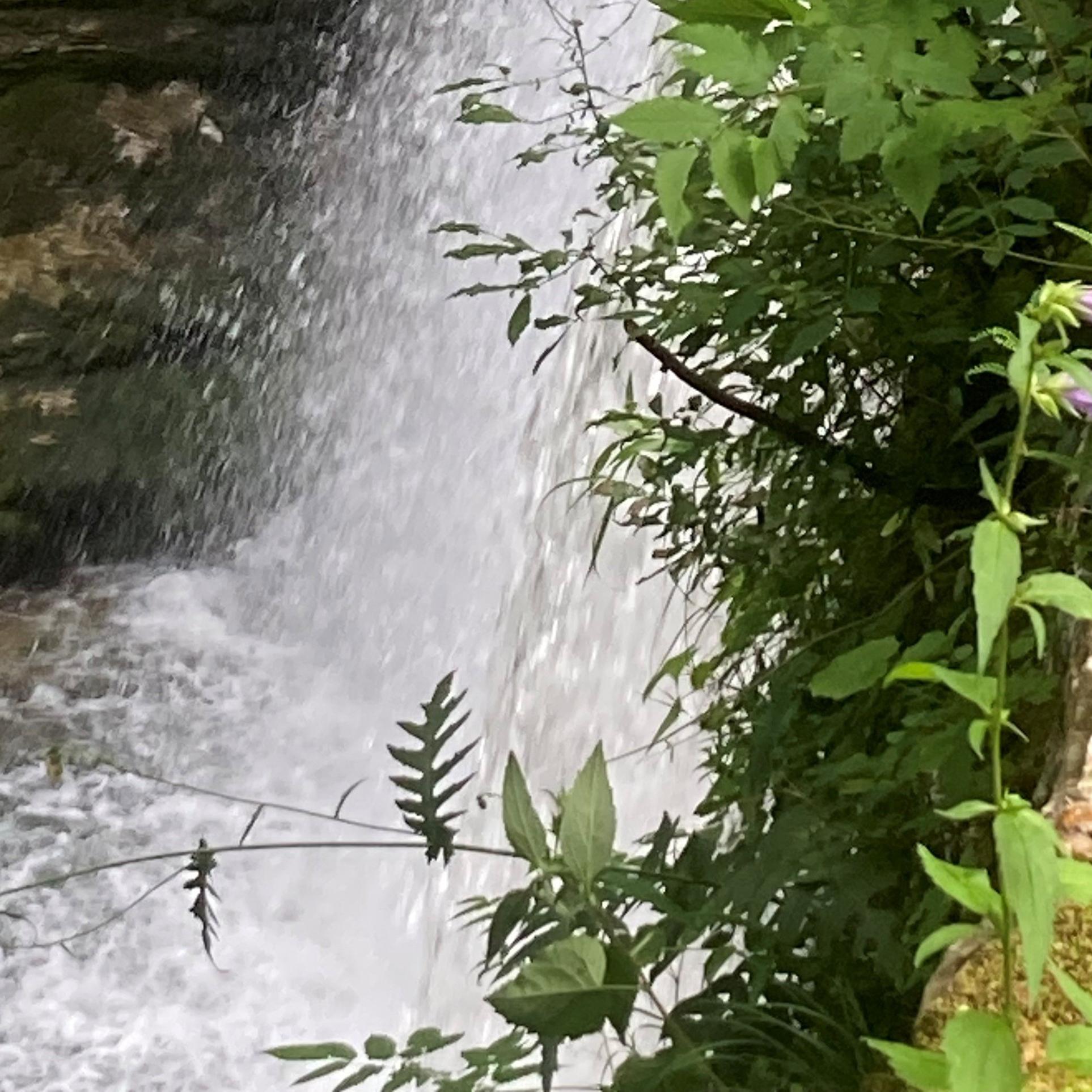Schöne und gesegnete Sommerzeit
