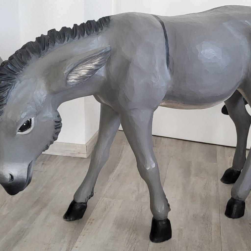 In diesem Jahr bekommt die Weihnachtskrippe in der Apostelkirche Zuwachs: ein kleiner Esel.