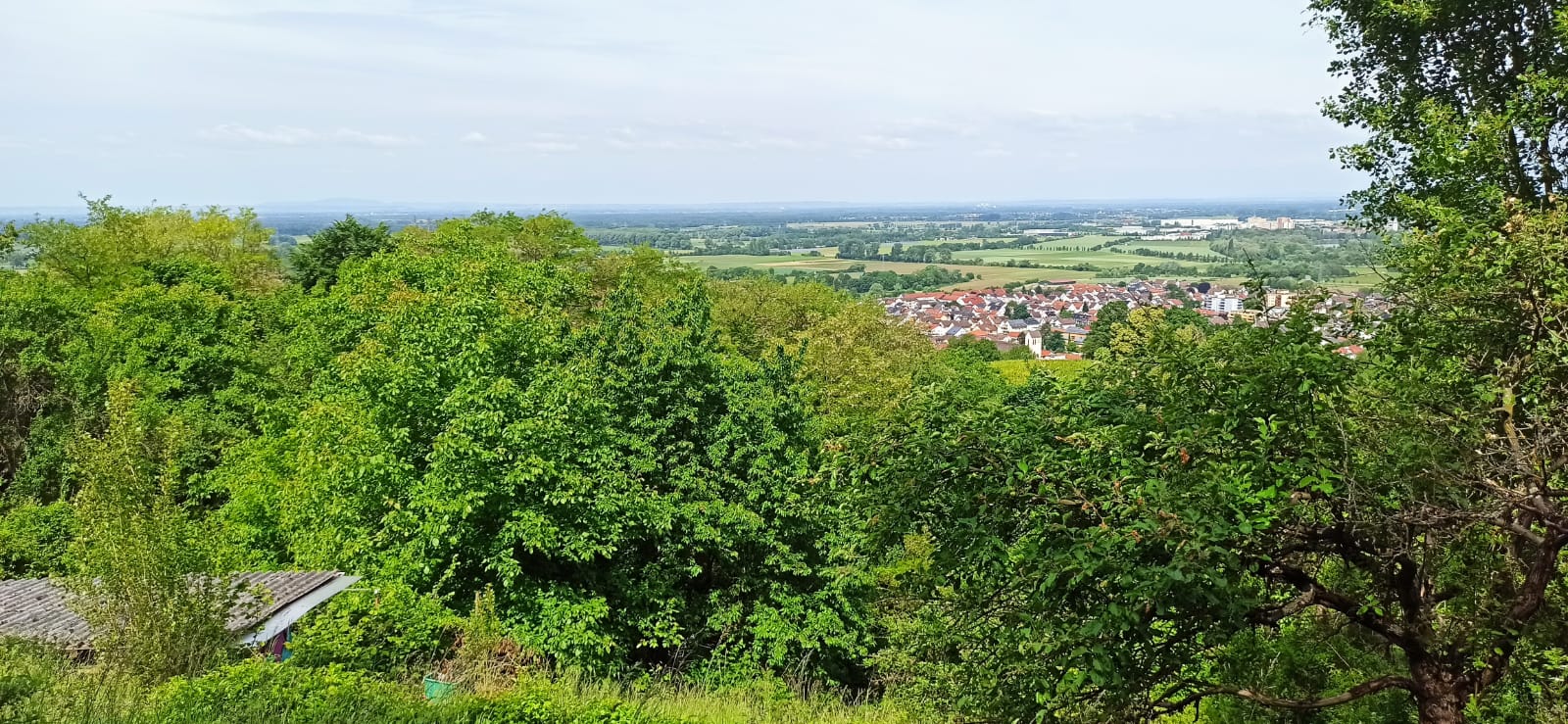 Blick über die Rheinebene