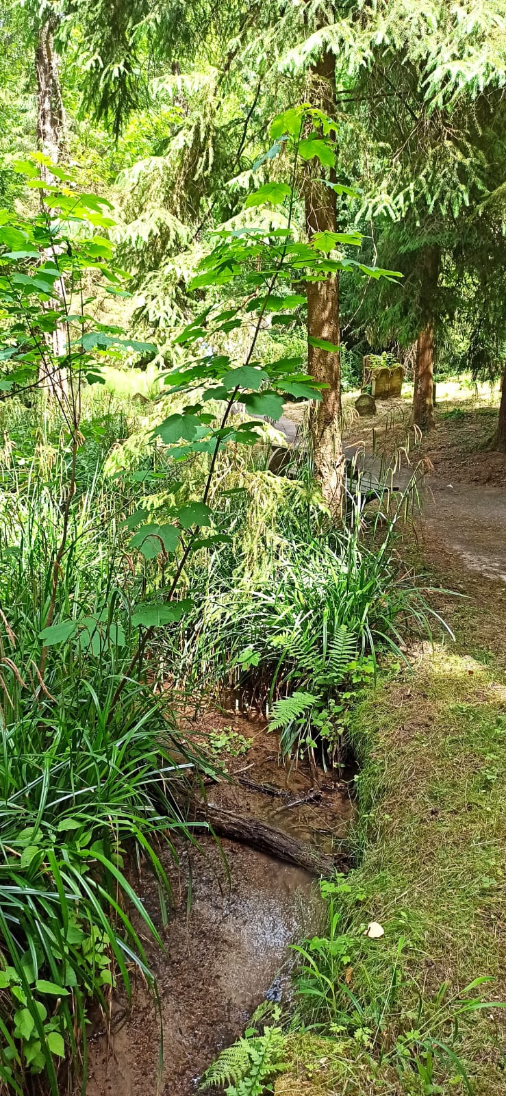 Bachlauf im jüdischen Friedhof