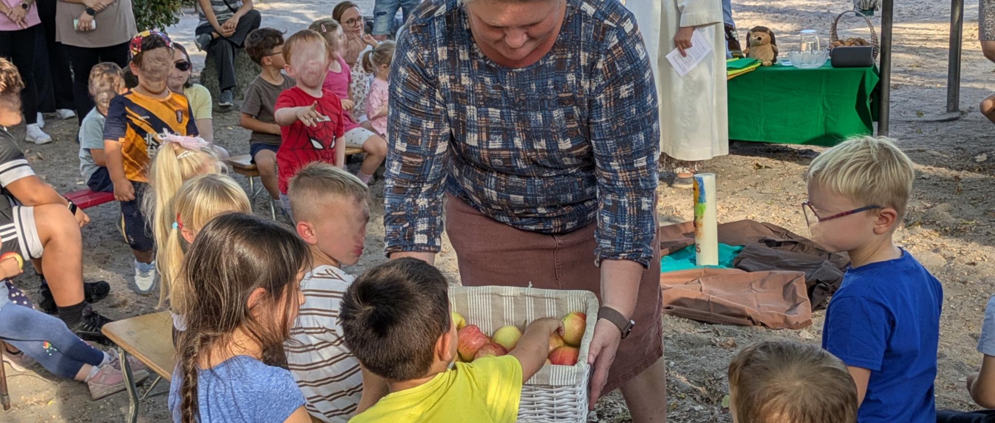 Äpfel werden an die Kinder verteilt