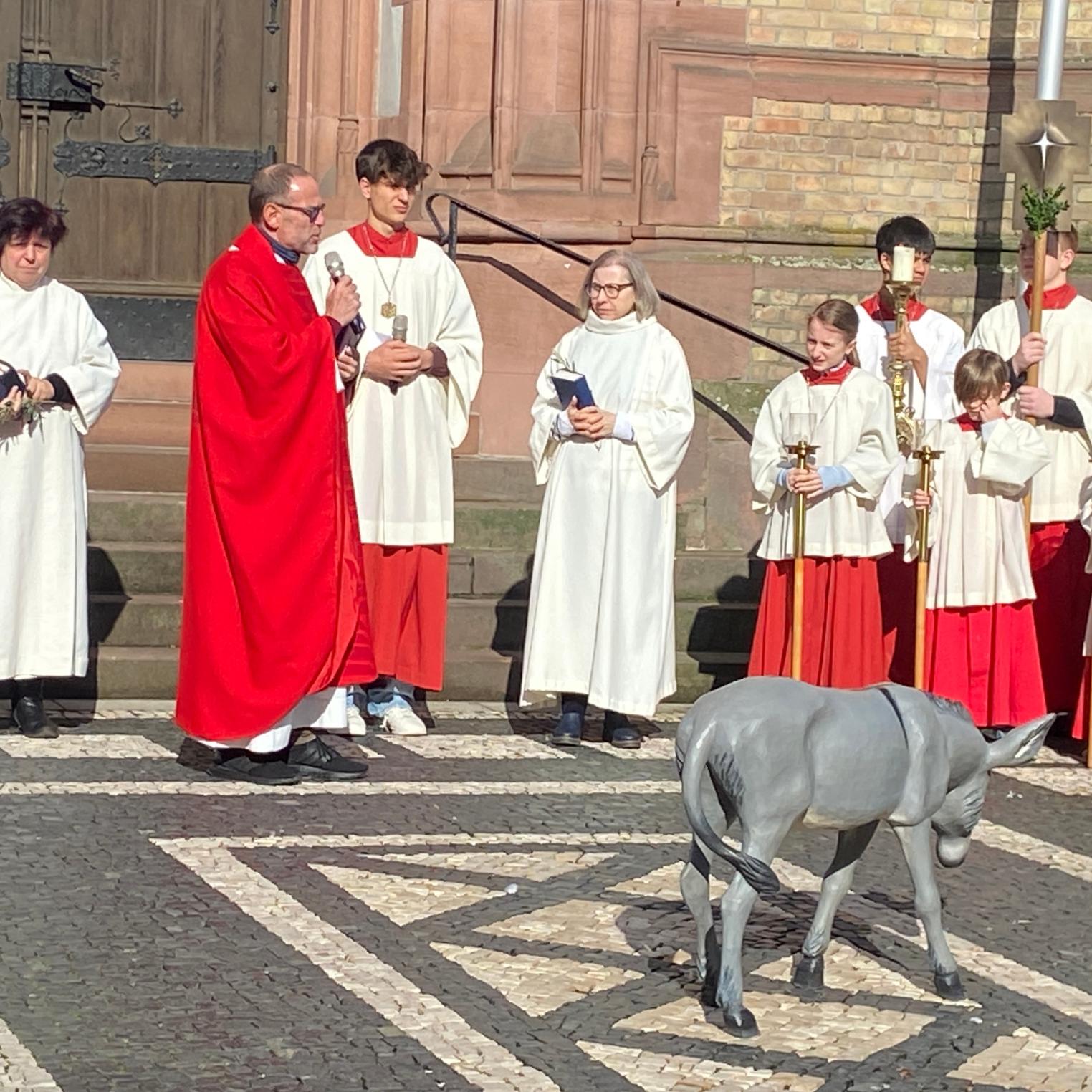 Mitten auf dem Apostelplatz wartet ganz still und geduldig ein Esel.