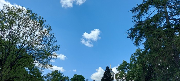 20260513_121752