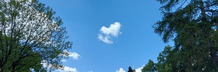 20260513_121752