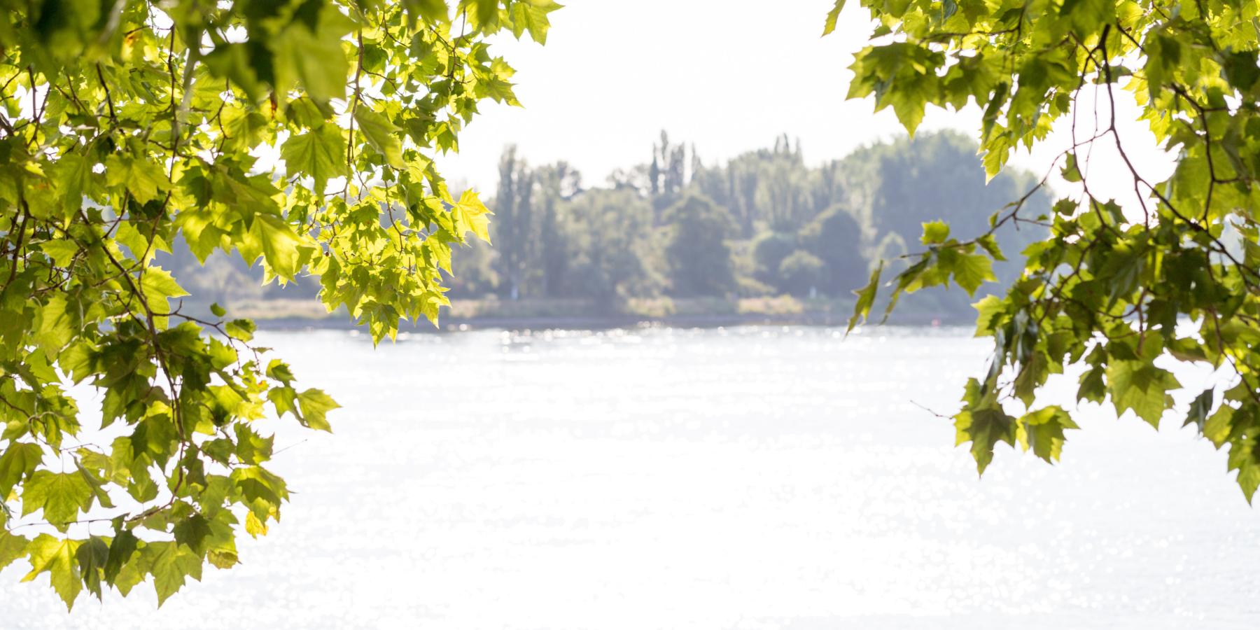 Blick auf den Fluss (c) parallel_dream | stock.adobe.com
