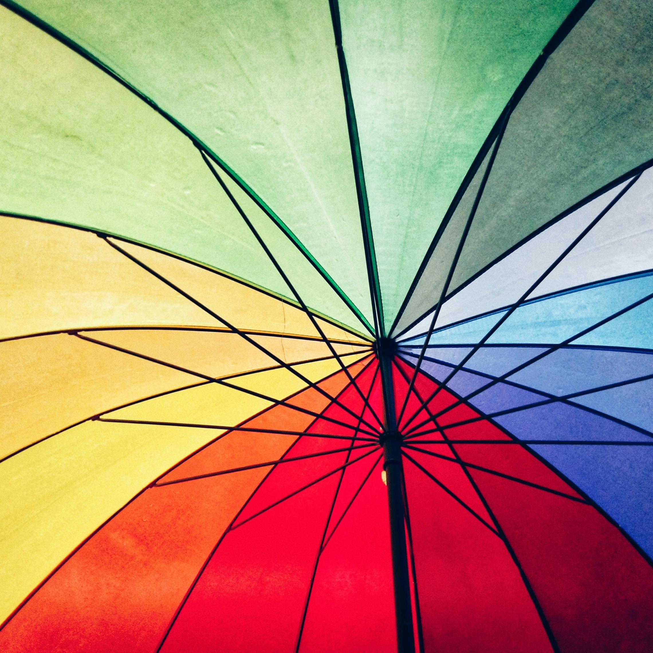 rajshri-bharath-ks-_km4QToU8d4-unsplash
