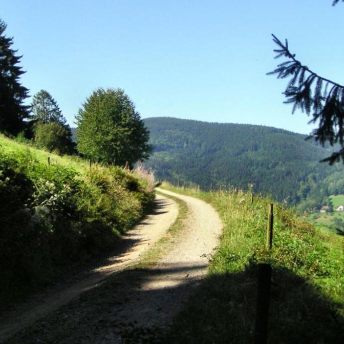 Weg-Bild-Ausschreibung-Kurs-GB.jpg_507277566