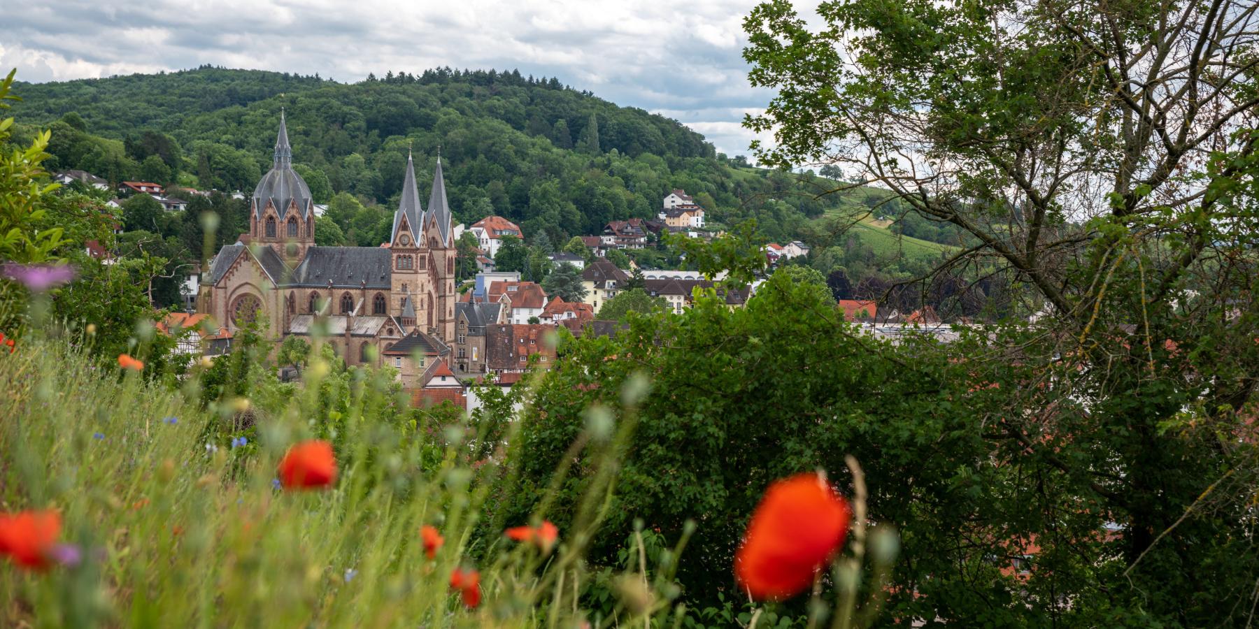 Blick auf Stadt an der Bergstraße (c) beyer0412 | stock.adobe.com