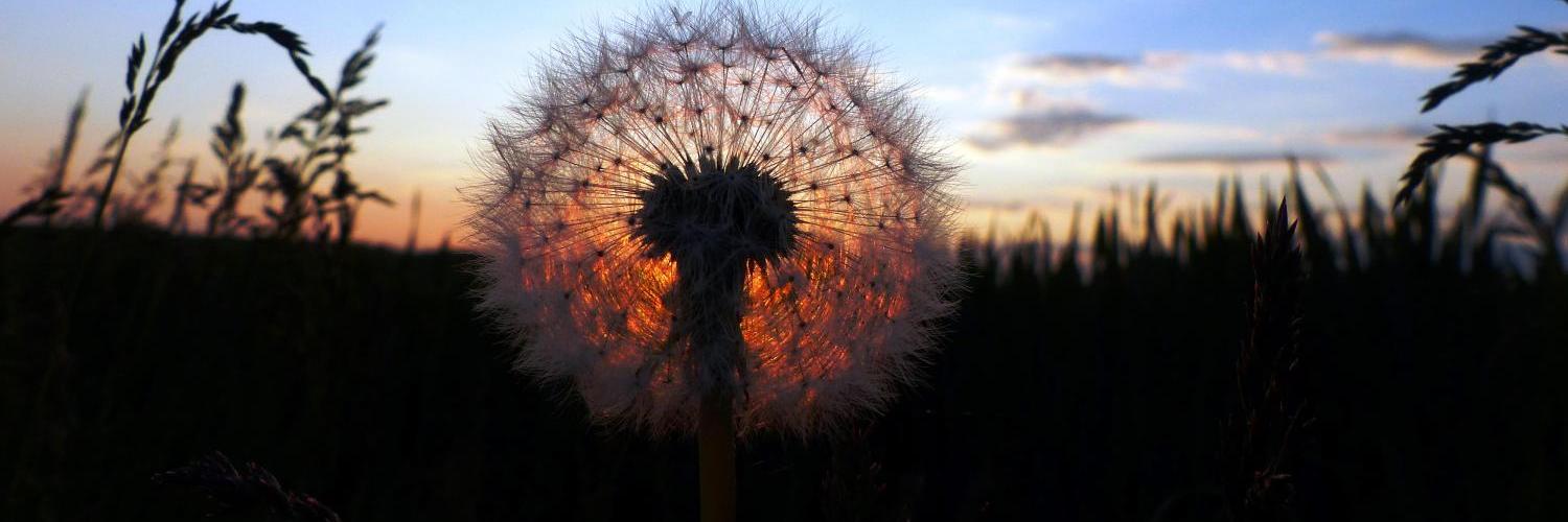 Sonnenuntergang