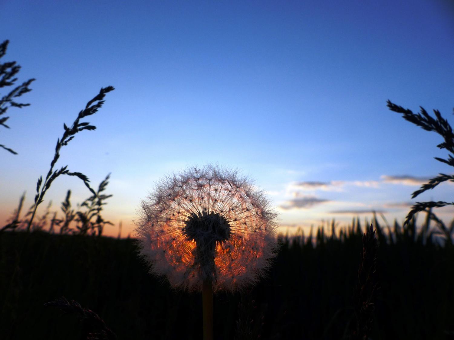 Sonnenuntergang