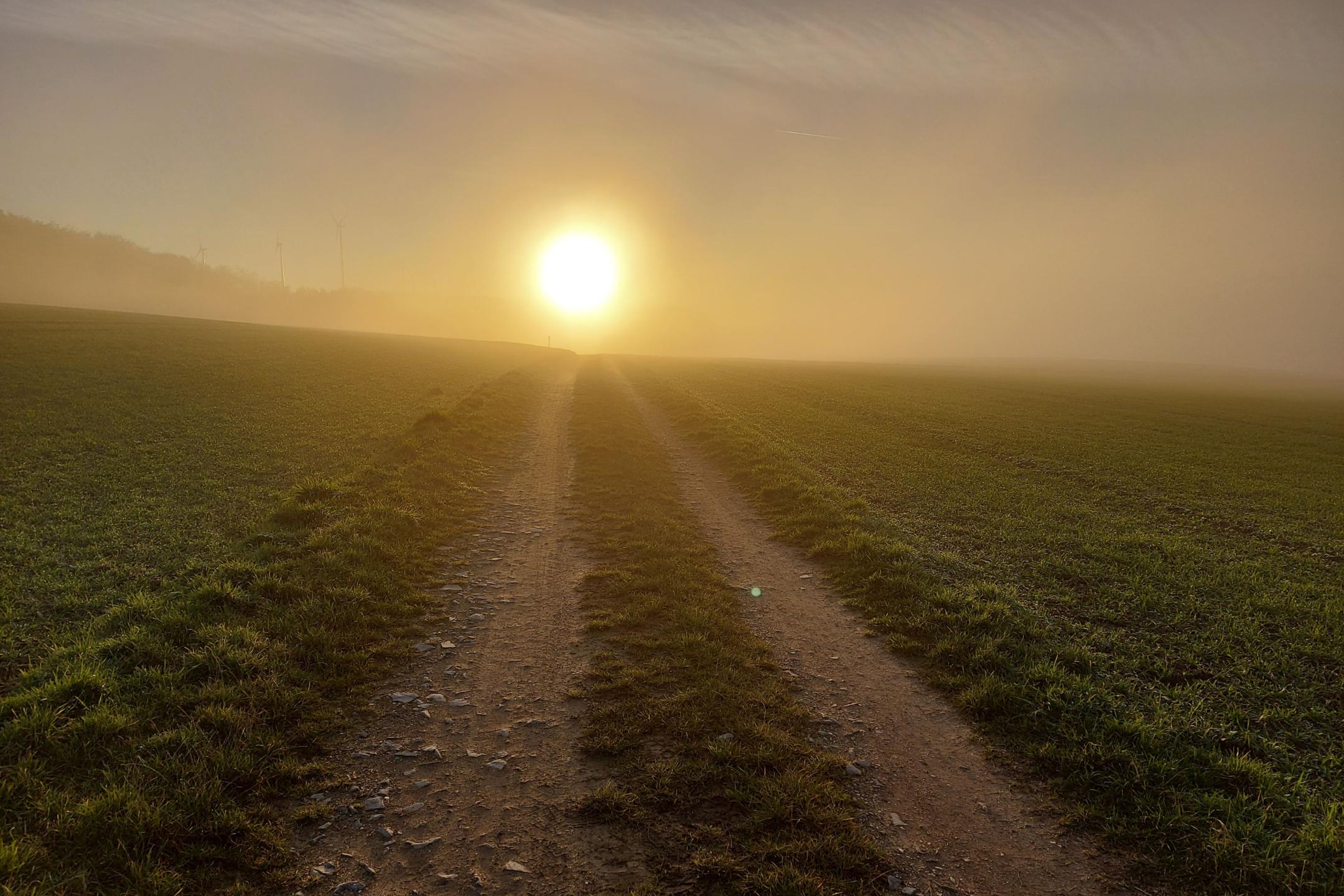 Sonntag der 2. Woche