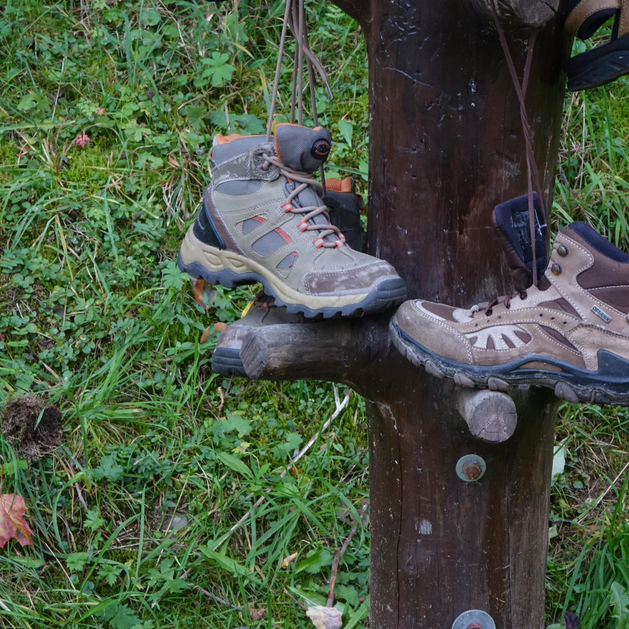 Auf den Spuren des heiligen Bonifatius