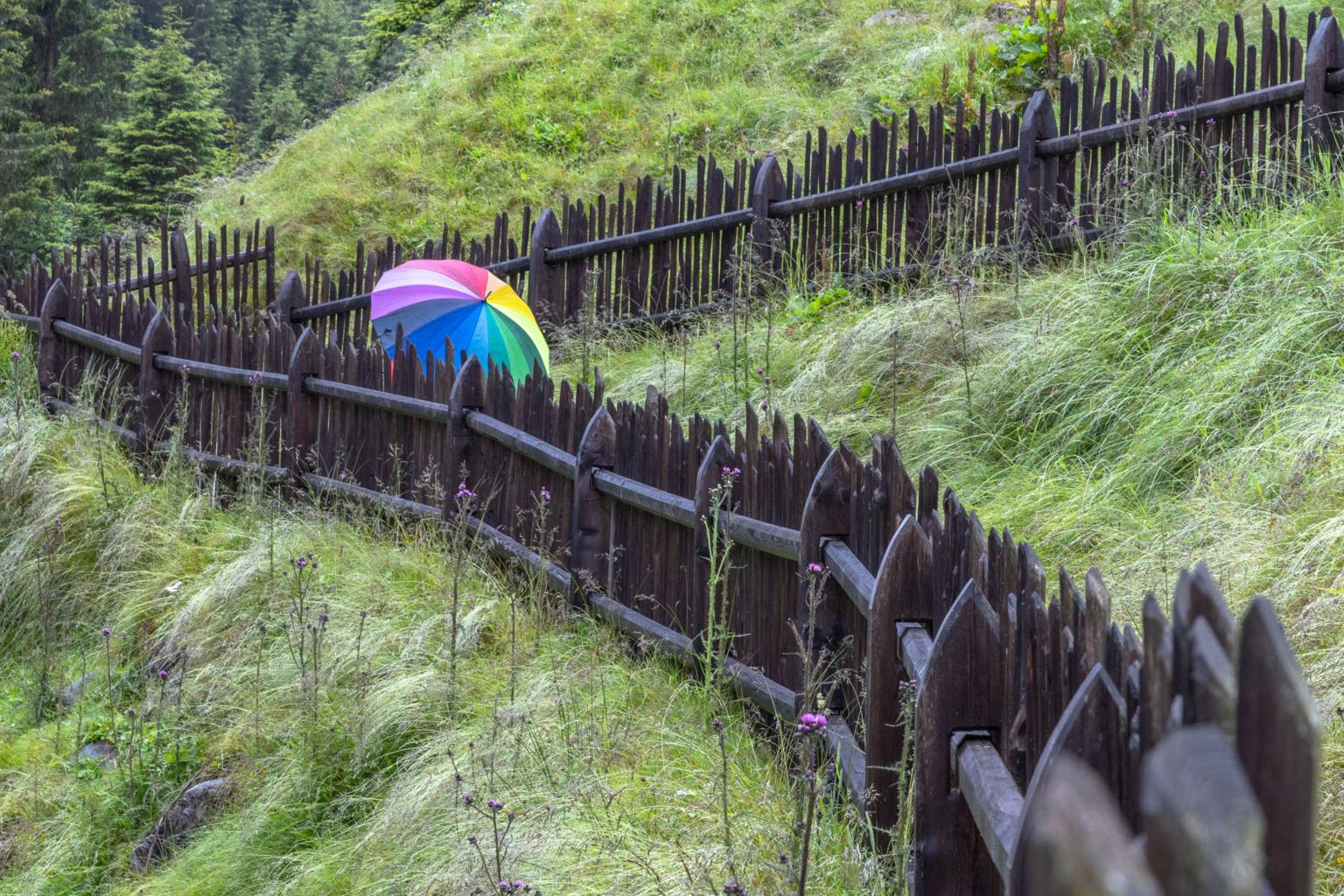 Regenbogenschirm (c) Peter Kristen