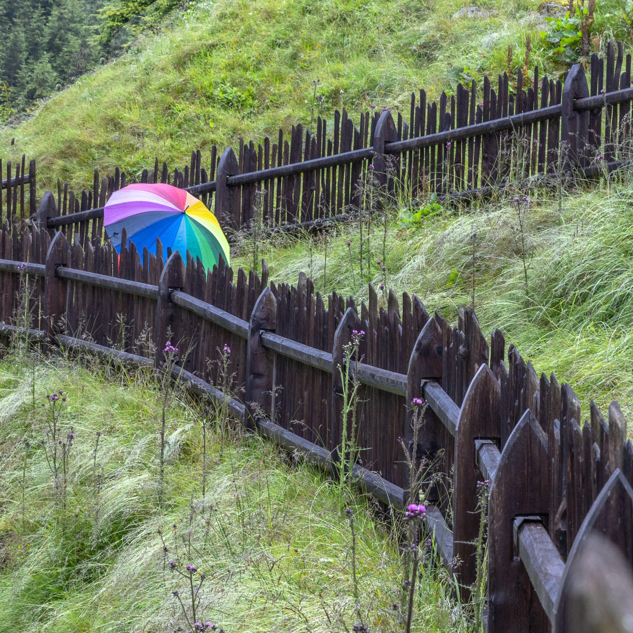 Regenbogenschirm