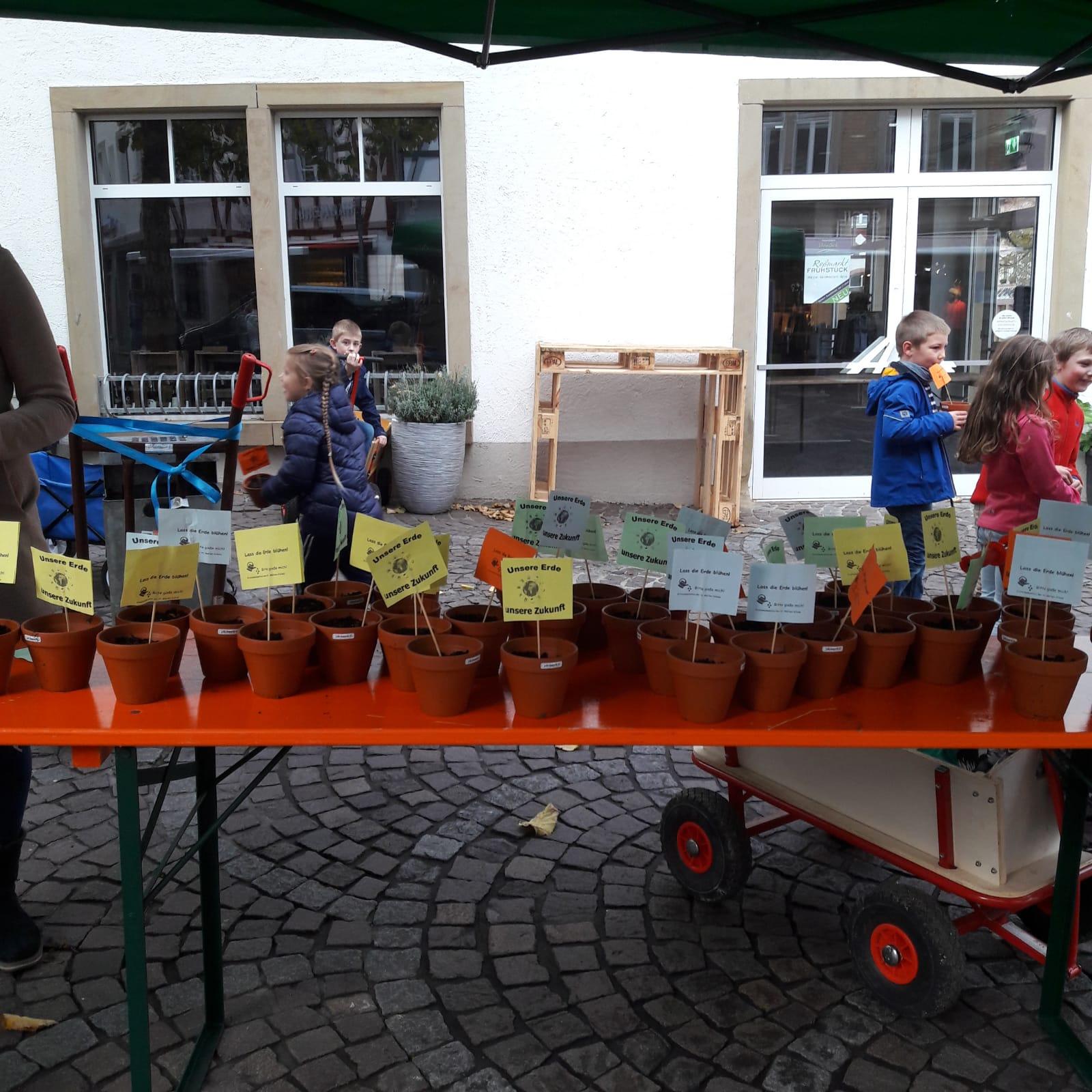 Rossmarkt (c) Bistum Mainz