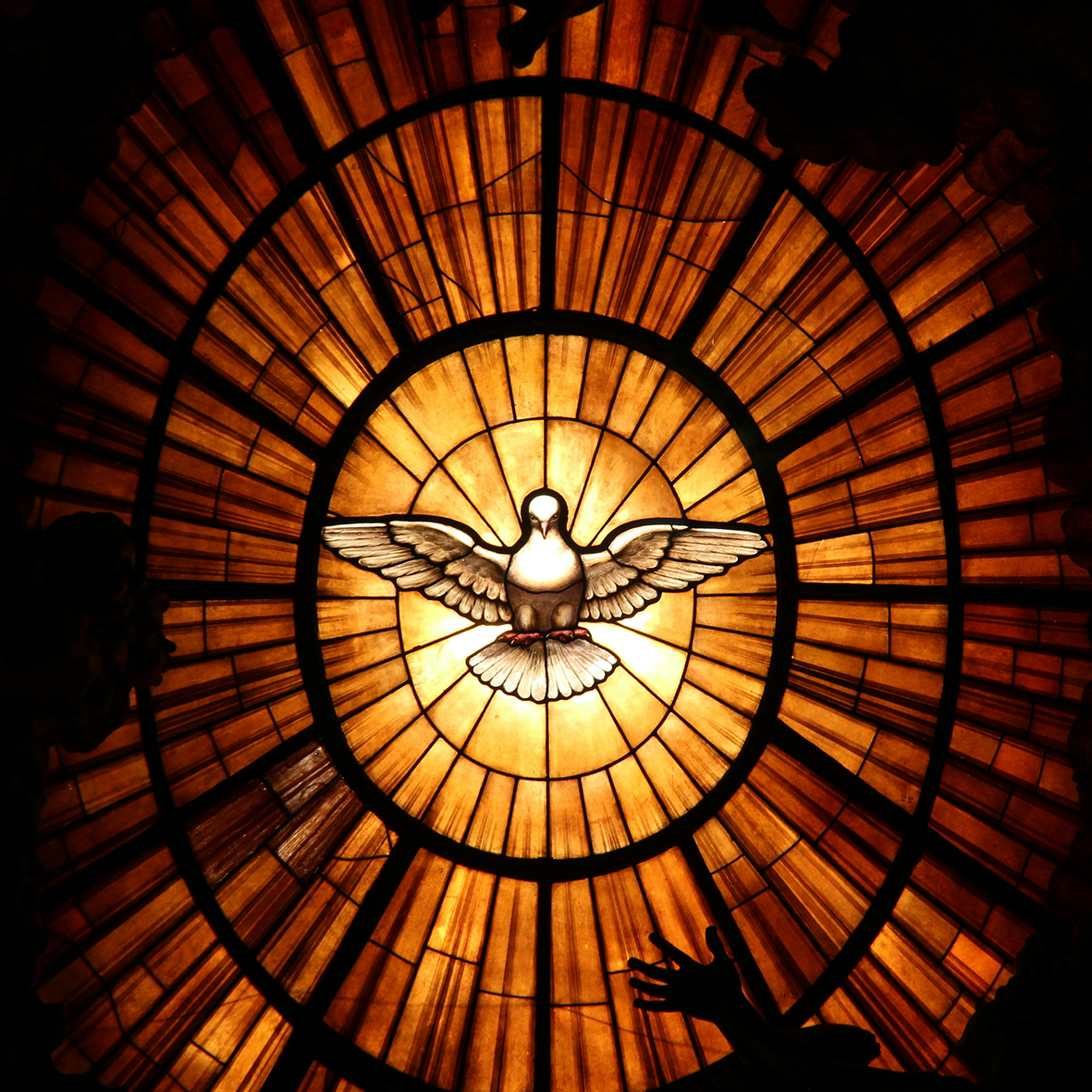 Taube Geist (c) Serge Taeymans unsplash Taube Geist