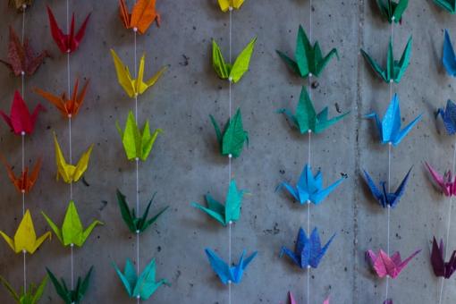 soroush-zargar-guqZ4AYbq3o-unsplash