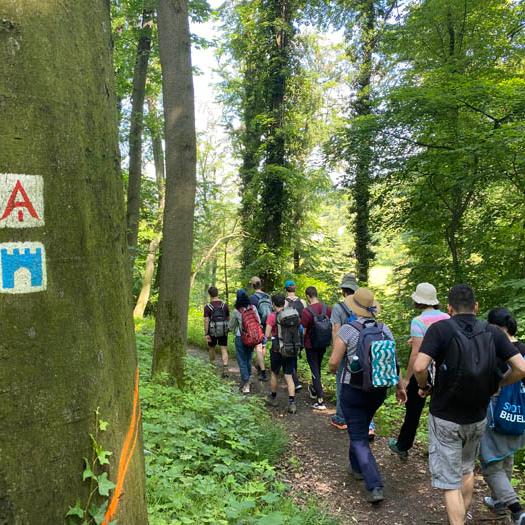 2024-05-26 Wandertag (107a) (c) KHG Darmstadt