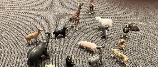 IMG_0730 Zootiere (c) KHG Darmstadt IMG_0730 Zootiere