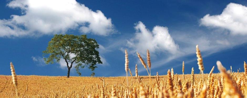Sommerpause! Sommerpause!