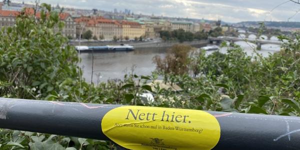 Nett hier