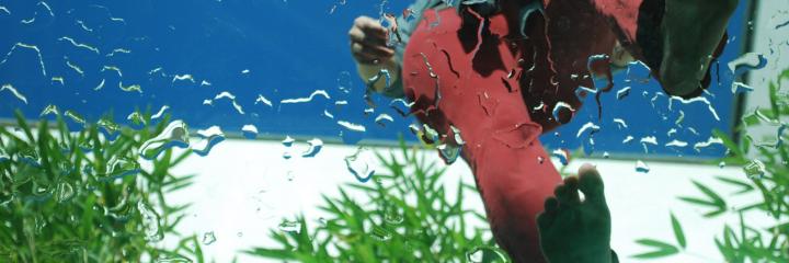 Schritt für Schritt