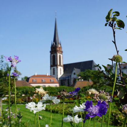 St-Elisabeth-Darmstadt