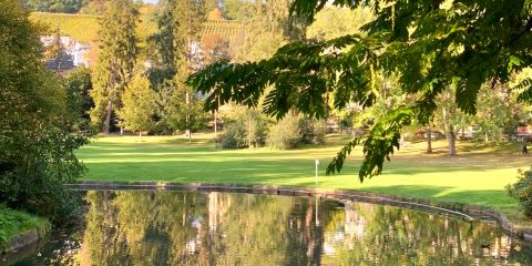 Himmel spiegelt sich